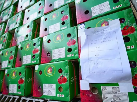 Đề nghị phối hợp cung cấp thông tin về hàng hóa tồn đọng