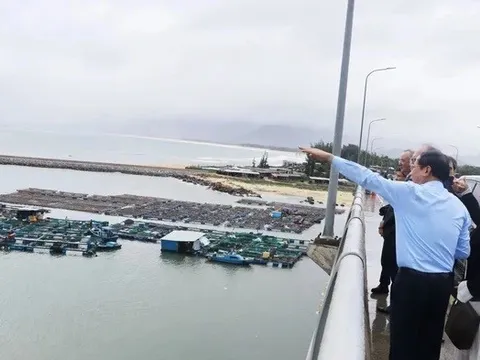 Vingroup trúng thầu siêu dự án điện gió hơn 48.300 tỉ đồng tại Gia Lai