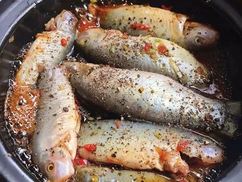 Theo con nước miền Tây, loài cá dân dã bất ngờ thành đặc sản giá nửa triệu/kg