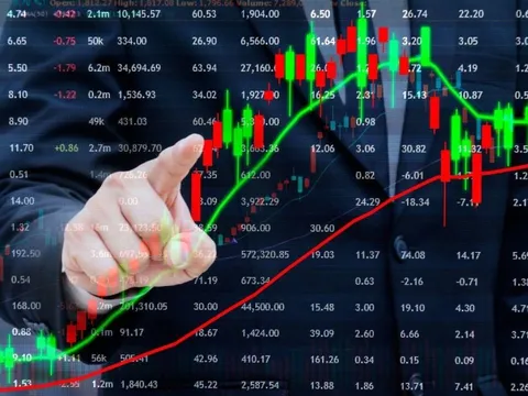 Dòng vốn tổ chức đối với thị trường chứng khoán Việt Nam đang ngày càng cải thiện