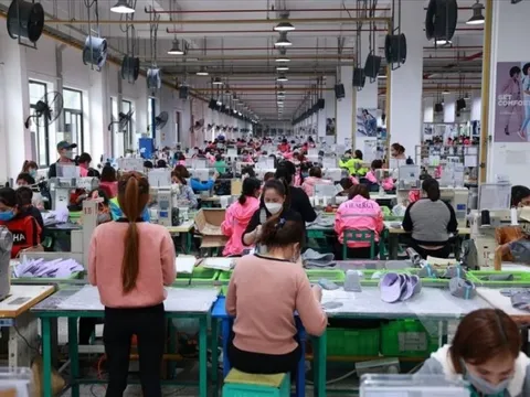 Làm xuyên 9 ngày nghỉ Tết Bính Ngọ, người lao động nhận lương bao nhiêu?