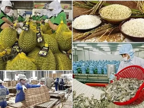 Xuất khẩu nông, lâm, thủy sản tháng 1 tăng gần 30%