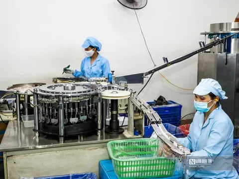 Tháng 1/2026 có gần 49.000 doanh nghiệp gia nhập thị trường, thu NSNN hơn 370.000 tỷ đồng