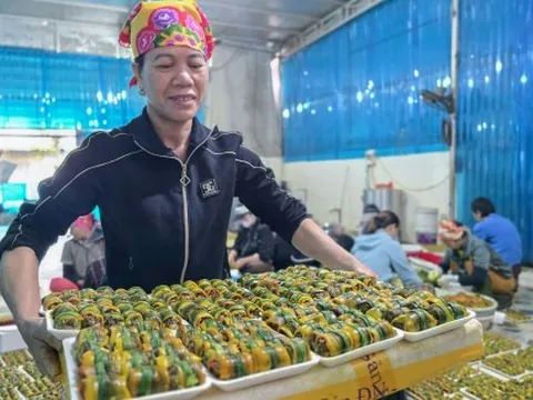 Làng chế biến lươn lớn nhất xứ Nghệ tất bật ngày cận tết 