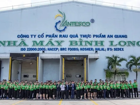 Antesco bất ngờ lấy ý kiến cổ đông