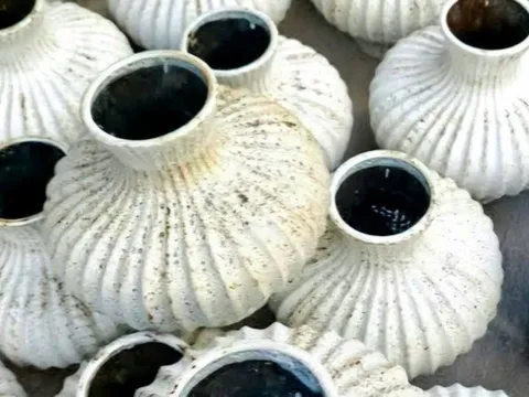 Không phải linh vật ngựa, đây mới là hiện tượng của Tết Bính Ngọ 2026