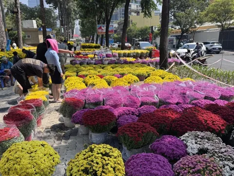 Toàn cảnh các chợ hoa Tết ở TPHCM trước ngày mở cửa chính thức