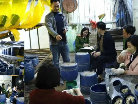 Trong vòng 4 ngày, cơ sở của Trần Quốc Đại sinh năm 1998 sản xuất gần 3 tấn giá đỗ ngâm 'nước kẹo' đựng trong 362 lu nhựa