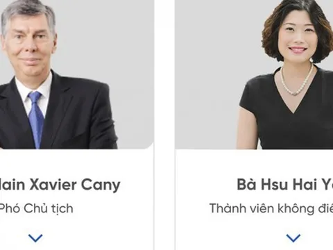 Hai đại diện của Platinum Victory Pte. Ltd rút khỏi HĐQT REE