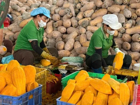 Gia vị, trái cây, trà, cà phê Việt đồng loạt phải bổ sung thư xác nhận khi xuất khẩu sang thị trường tỷ dân