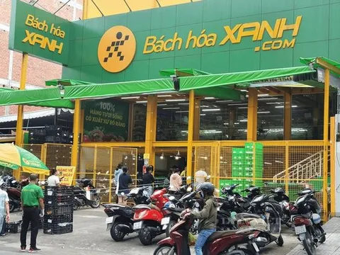 Bách Hoá Xanh mục tiêu lãi 1.800 tỷ năm 2026