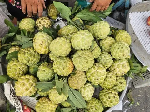 Giá nhiều loại trái cây tăng mạnh