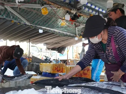 27 Tết: Cá thu giá 'chát' vẫn bán vèo vèo