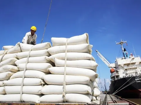 ‘Bạn hàng’ quen của gạo Việt đã tuyên bố tự túc lương thực, trong năm 2026 sẽ xuất khẩu: 1 triệu tấn gạo sẽ đi tới nước nào?