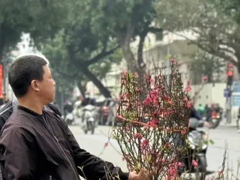 Bộ Tài chính thông tin về giá cả thị trường Tết