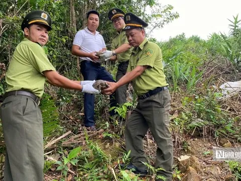 Gian nan hành trình bảo vệ các loài động vật hoang dã ở Huế