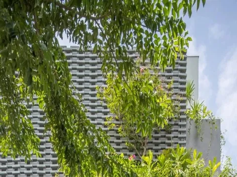 Thiết kế nhà ống với hệ vỏ nhiệt đới