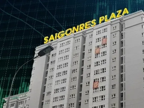 Bất động sản REE bán bất thành cổ phiếu SGR