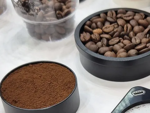 Giá cà phê hôm nay 22-2: Doanh thu một nhãn hàng cà phê đạt gần 8,4 tỉ USD