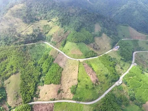 Hơn 2.350 tỷ đồng nâng cấp Quốc lộ ở Quảng Ngãi, giải bài toán đèo Vi Ô Lắk