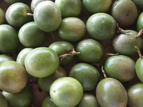 Việt Nam đón 'tin vui' gần 500 triệu USD từ châu Âu, loạt mặt hàng tăng tốc gấp nhiều lần chỉ sau 4 năm