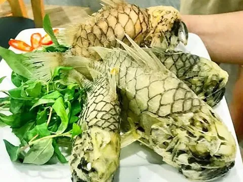Cá gì tên như trái cây, thân dày, vảy lớn như 'chiến binh', giá tới 500.000 đồng/kg vẫn khó mua?