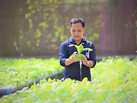 Anh kỹ sư lập trình bỏ phố về quê, xây 'resort 5 sao' cho rau, thu hút 10.000 người đến