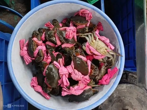 Giá cá lóc, tôm cua lập đỉnh ngày vía Thần Tài, nhiều sạp cháy hàng sớm