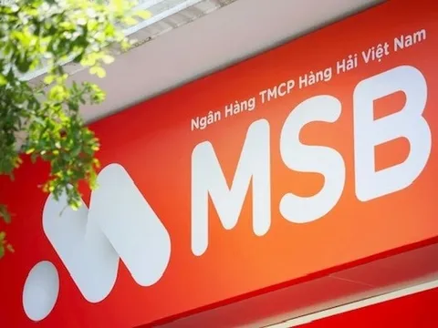 Một cổ đông Nhà nước muốn rút toàn bộ vốn khỏi MSB