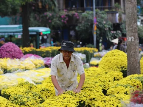 Lượng người đến Hội hoa xuân ở TPHCM giảm mạnh
