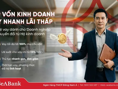 Nghịch lý 'lính mới': Kinh doanh nhiều năm vẫn khó vay vốn sau khi chuyển đổi doanh nghiệp