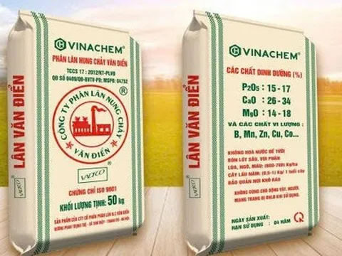 Phân lân Văn Điển bị truy thu gần 2,8 tỷ đồng thuế sau kiểm toán