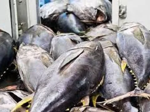 'Siêu thực phẩm' của Việt Nam được Mỹ - Nhật - Đức cực ưa chuộng: Bỏ túi hơn 75 triệu USD chỉ trong 1 tháng, nước ta có sản lượng hơn 600 nghìn tấn