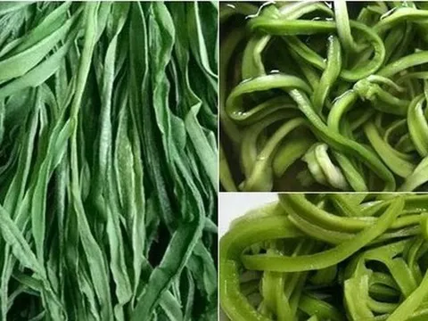 4 thứ rau 'quý như vàng' của Việt Nam, có tiền chưa chắc đã mua được: Có loại chạm mốc cả triệu đồng/kg