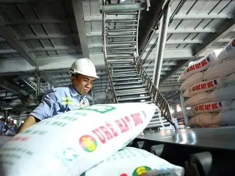 Chiến sự Trung Đông ‘khuấy động’ thị trường phân bón