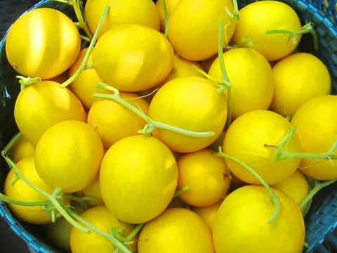 Từ cái tên đã thấy 'vàng ròng', tưởng chỉ dành cho giới thượng lưu: Loại quả này từng lạ lẫm, nay thành 'hoàng hậu' nằm phổ biến trên kệ của các siêu thị