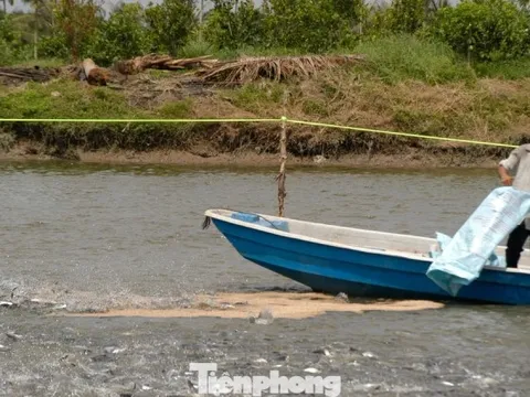 Giá cá tra tăng kỷ lục, vì sao người nuôi vẫn 'treo ao'?