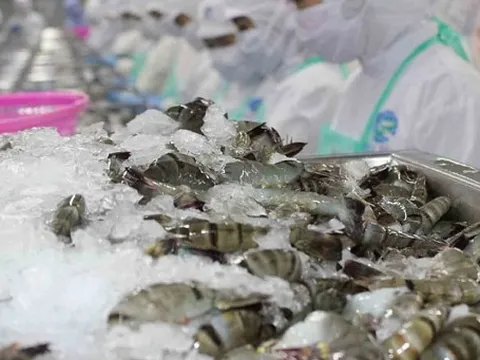 Trung Quốc chi gần 130 triệu USD mua 'sản vật' này của Việt Nam chỉ trong 1 tháng