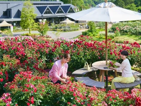 Du lịch Nhật Bản quá tải, vẫn muốn đón thêm khách Việt