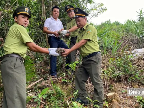 Gian nan hành trình bảo vệ các loài động vật hoang dã ở Huế