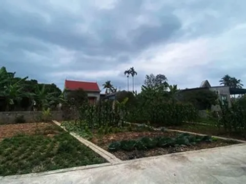 2 năm không về quê chồng, vừa bước vào phòng ngủ, con dâu bật khóc