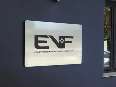 EVF tím lịm, dư mua hàng triệu cổ phiếu trước thềm ĐHĐCĐ 2026