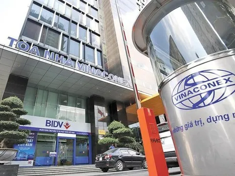 Cổ phiếu Vinaconex vừa nằm sàn đã bật trần, dư mua 1,2 triệu đơn vị