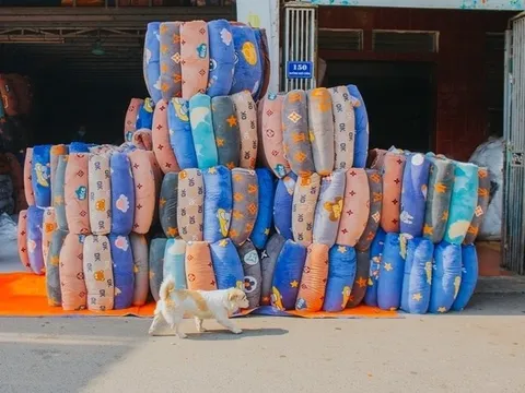 Bất ngờ trước sự giàu có của người dân làng nghề được xem là 'thủ phủ' sản xuất chăn ga gối đệm lớn nhất miền Bắc nằm ngay tại Hà Nội