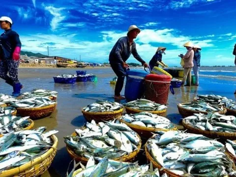 'Mỏ vàng dưới nước' của Việt Nam kiếm 1,7 tỷ USD chỉ sau 2 tháng, thị trường nào đang mua mạnh nhất?