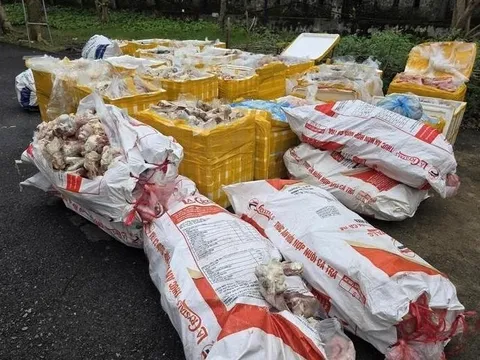 2,6 tấn nội tạng, xương ống, mỡ động vật không rõ nguồn gốc bị phát hiện trên cao tốc Bắc - Nam