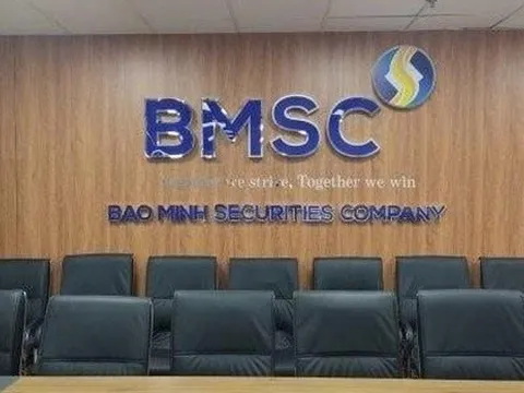 Chứng khoán Bảo Minh dự kiến niêm yết gần 204 triệu cổ phiếu BMS trên HoSE