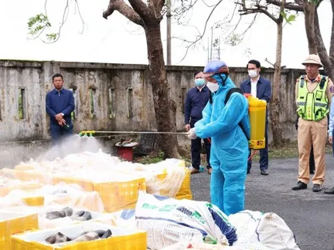 Ngăn chặn gần 2,7 tấn nội tạng động vật không rõ nguồn gốc “tuồn” ra thị trường