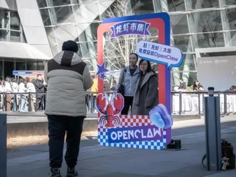 Cơn sốt ‘nuôi tôm hùm’ làm việc thay người