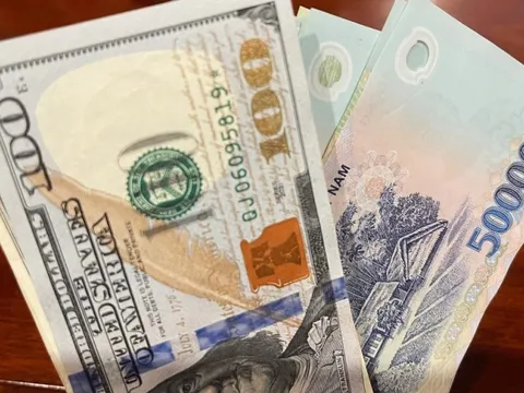 Tỷ giá USD hôm nay 13/3: Đồng bạc xanh tăng trở lại, USD trong ngân hàng nhích lên